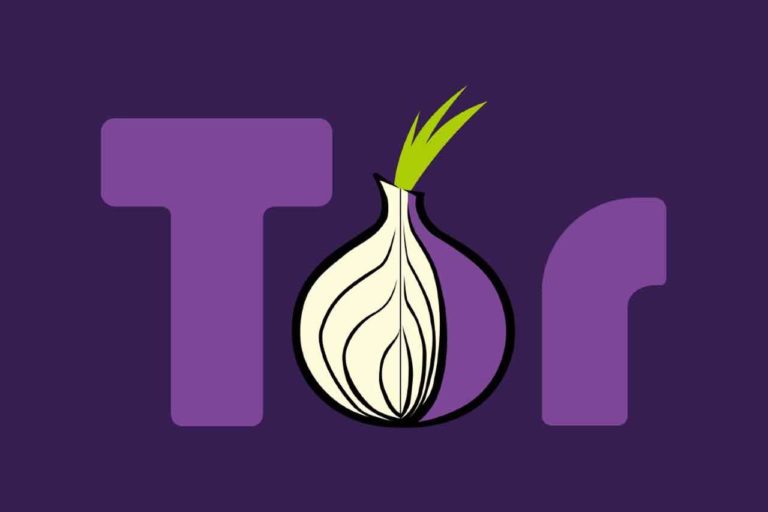 The Onion Router: Browse The Internet Completely Anonymously